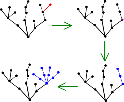 hydra_reproduction